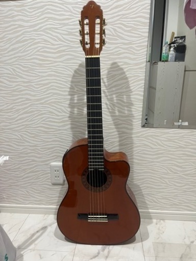 中古　バレンシア Valencia クラシックギター 楽天市場】バレンシアガ 中古（クラシックギター｜ギター）：ギター 
