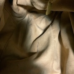 ペッレモルビダ　バッグ　ナイロンバッグ　メンズ　レディース 1シーズン使用していたので、傷や汚れあります。 横41、幅9.5、高さ27センチ カラー···ベージュ 素材···ナイロン バッグサイズ···A4サイズ収納可の画像