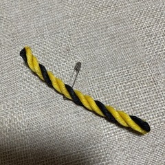 USED オニヤンマ風ロープ！