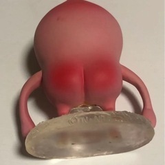 ⬛️ 超 超 超 超 稀少品！　貴重品！　珍品！⬛️ カクレモモジリ！！の画像