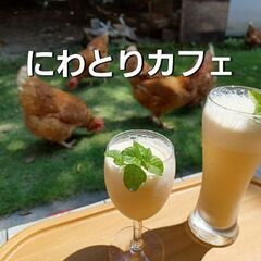 にわとりカフェ★鶏ふれあい体験★鶏さんと遊んで卵を拾ってミルクセーキを飲もうの画像