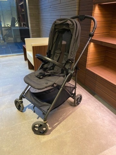 サイベックス　メリオカーボン　2020