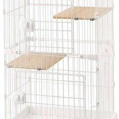 猫　キャット　ケージ　の画像