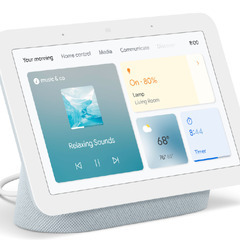 Google Nest Hub（第 2 世代）