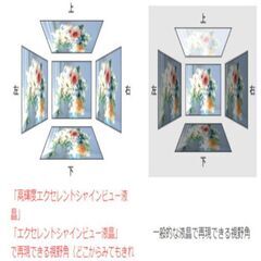 高解像度スーパーシャインビュー液晶)19型液晶モニター 　動作確認ずみ ディスプレイの画像