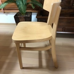 お洒落♪木製ダイニングチェアーの画像