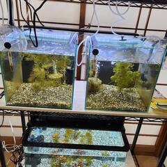 夏休みにより価格改定！家庭教師の画像