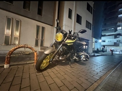 ※純正部品あり　YAMAHA MT-25 カスタム　マットグレー