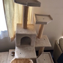 キャットタワー取引中