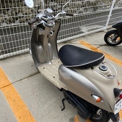 スズキ　ヴェルデ　50