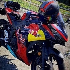 14年式 YZF-R25 レッドブルカウル仕様
