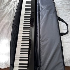 Casio privia px s1000 電子ピアノ、スタンド付