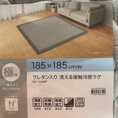 ニトリ 極冷 ウレタン入り洗える冷感接触ラグの画像