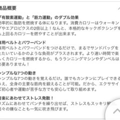 シャドーボクサー　数回の使用品の画像