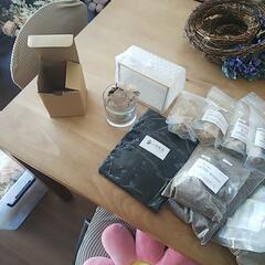 【値下げ】苔テラリウムセット材料一式 (ガラス花器付き)の画像