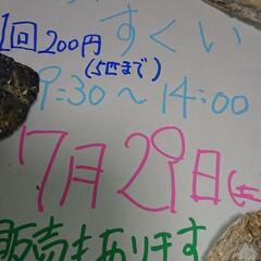 パン屋さんで夏休みイベント メダカ