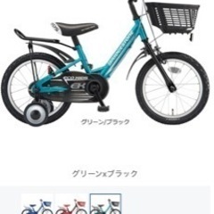 ブリヂストン エコキッズスポーツ 18インチ グリーン＆ブラック