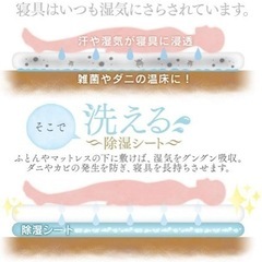寝具の下へ敷く除湿シートの画像
