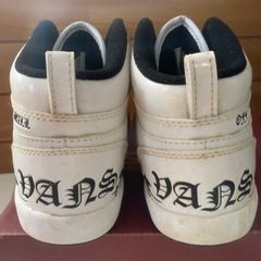 VANSの靴👞✨の画像