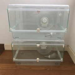 GEX　ハビんぐ グラスハーモニー 450 【ハムスター・小動物...