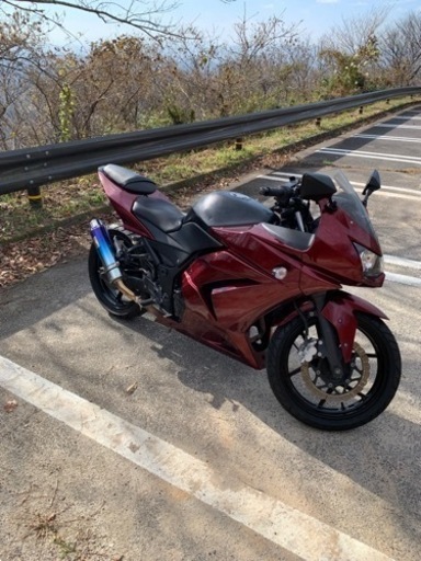 ninja250r 自賠責11月まで
