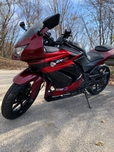 ninja250r 自賠責11月まで