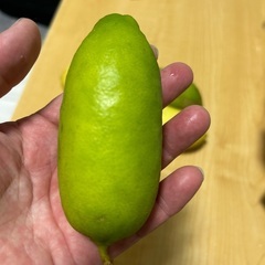 希少　香水レモン🍋