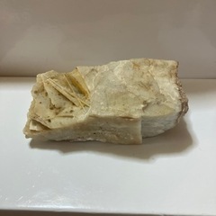 菊花石☆（岐阜県産）