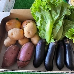野菜セット　茄子　ジャガイモ　さつまいも、レタス、玉葱　大特価‼️