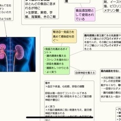 【モニター募集】親子でつくる食と健康！の画像