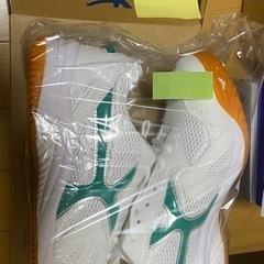 内履き、外履き　25.0cm 新品　の画像