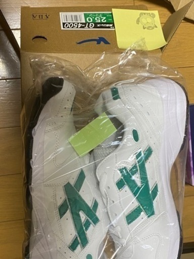 内履き、外履き　25.0cm 新品