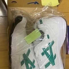内履き、外履き　25.0cm 新品　