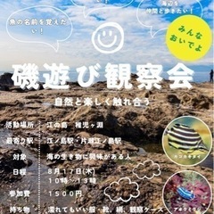 磯遊び観察会 8月26日(木) 10:00~13:00