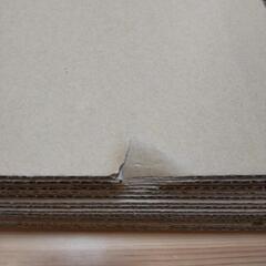 ❰未使用❱段ボール 10枚セットの画像