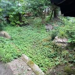 草刈り 防草シート 