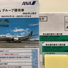 【2023/11/30まで】ANA株主優待券2枚 + ANAグル...