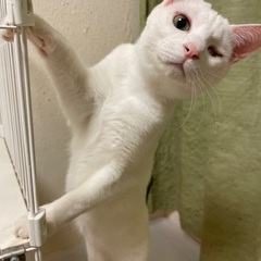 3歳男の子⭐︎うるる君