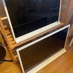 テレビ