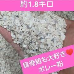 増量中！ 牡蠣殻（かきがら）蛎殻 飼料　餌　ボレー粉（細目）天然...