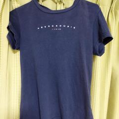 アバクロ半袖TシャツM