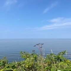 【商談中】人気の厚田区！オーシャンビューの別荘用地！ − 北海道