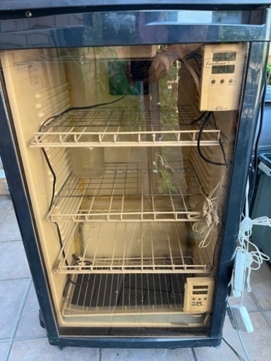 クワガタ　カブトムシ　昆虫　ワインクーラー　温度管理飼育したい方