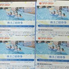 東京サマーランド フリーパス 株主優待券 株主ご招待券 プール ...