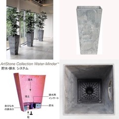 170cmシュロチク+高級鉢セット