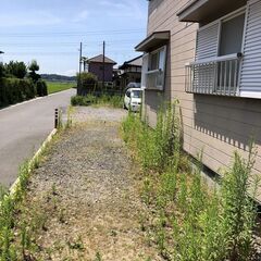 6/29(日)午後 草刈りできる方募集@稲敷市