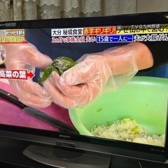 『SHARP 液晶カラーテレビ LC-40DX3 40インチ 説...