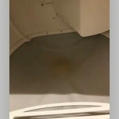 自動ネコトイレ　petree2.0 中古の画像