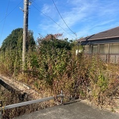 草刈り　 - その他
