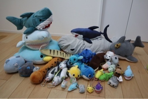 生き物　動物　ぬいぐるみ